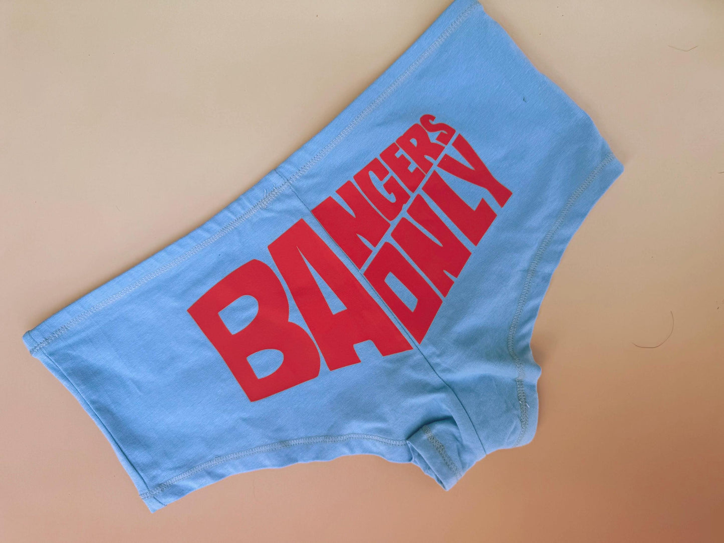 Bangers Only Light Blue Boyshorts | Retro Festival Underwear | Jam Band Merch | Gift for Her, Bachelorette Party, Phish Birthday Gift